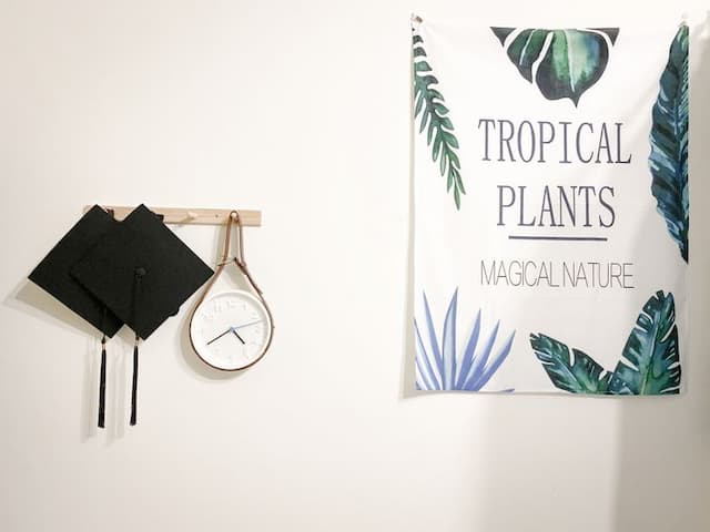 에디스 하우스 호스텔 (Eddie’s House Hostel)-201 Mix Dorm-4