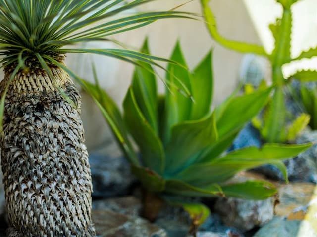 KAYATSUMA OKINAWA HOTEL&RESORT-ラグジュアリーヴィラ-6