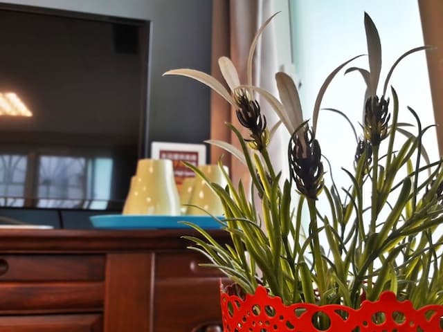 三隻老虎青年旅店-標準五人房-4