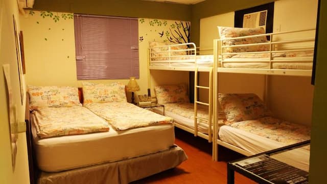 三隻老虎青年旅店-標準六人房-10