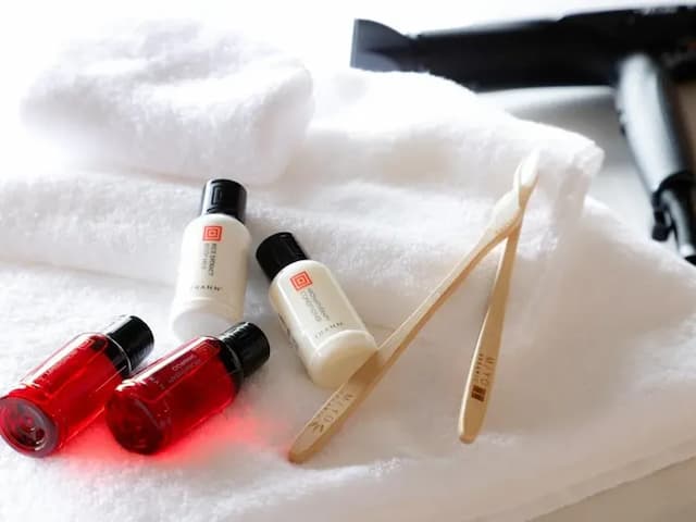 FIVE SPRING RESORT THE SHIRAHAMA-Giraffe 2F (三人房－附露台)-6