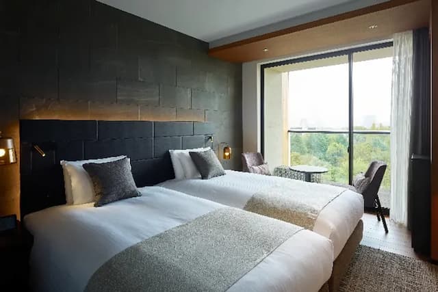 モデレートツイン