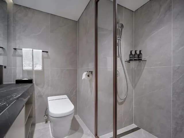 HOTEL THE BOTANIK SEWOON MYEONGDONG  (한국인 예약 불가 상품)-尊貴豪華家庭房(兩床)-7