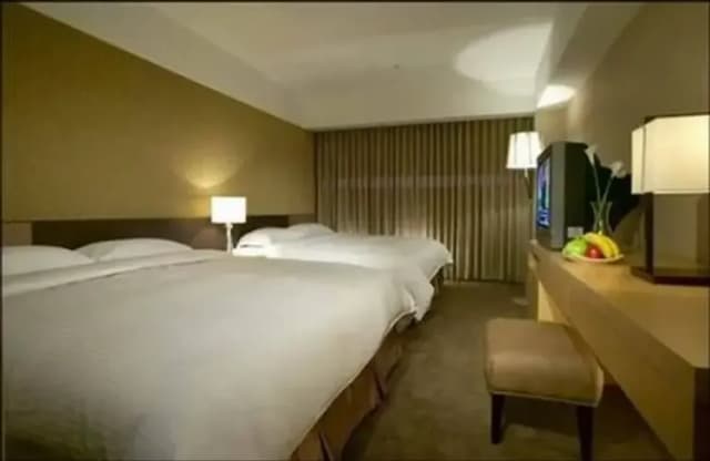 【高鐵假期】 桃園城市商旅航空館2日自由行-【搭高鐵．送住宿】- 豪華客房(2大床-含早)-6