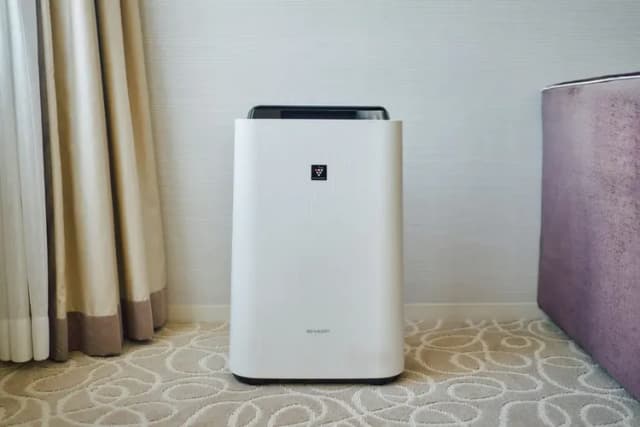 京都格蘭巴哈精選飯店｜京都河原町站&烏丸站/近八坂神社-標準雙床房｜可帶不佔床兒童(0-5歲) 2位【不挑房】-4