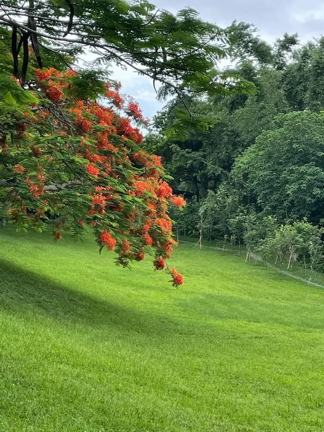 칭만통멍 홈스테이 (Qing Man Tong Meng Homestay)-Train slide six person room-13