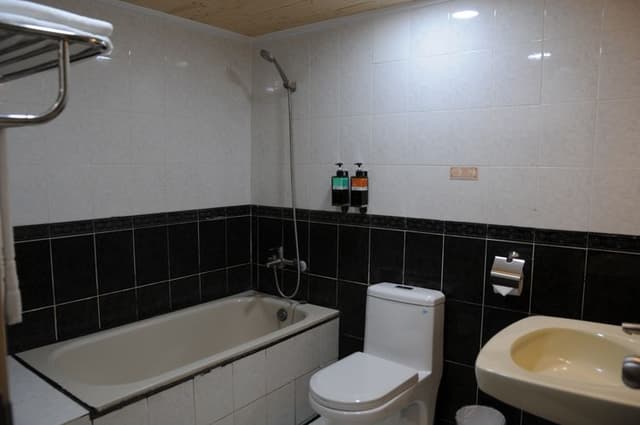 浴缸房型(提供浴巾、毛巾、沐浴用品)