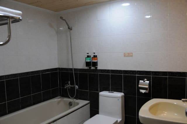 浴缸房型(提供浴巾、毛巾、沐浴用品)