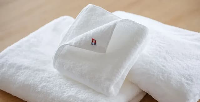 ホテルザセレスティン京都祇園-スタンダードクイーン｜お子様（0～5歳）1名様まで添い寝可能【お部屋選択不可】-4