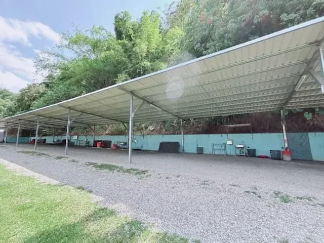 Enjoyable Player-Big A Canopy-2