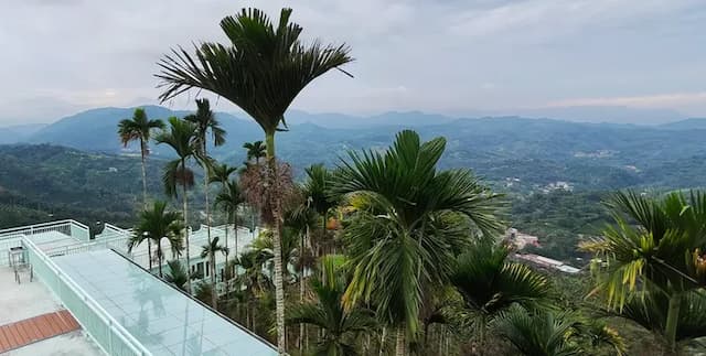 雁窩秘境營地｜全新上架、360度景觀露台｜日月潭｜懶人營-【露營屋】兩小床｜檜木屋-9