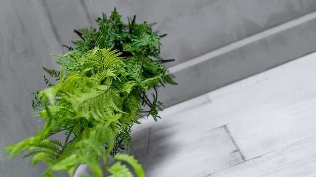 樂見旅舍-樂見輕鬆四人房-4