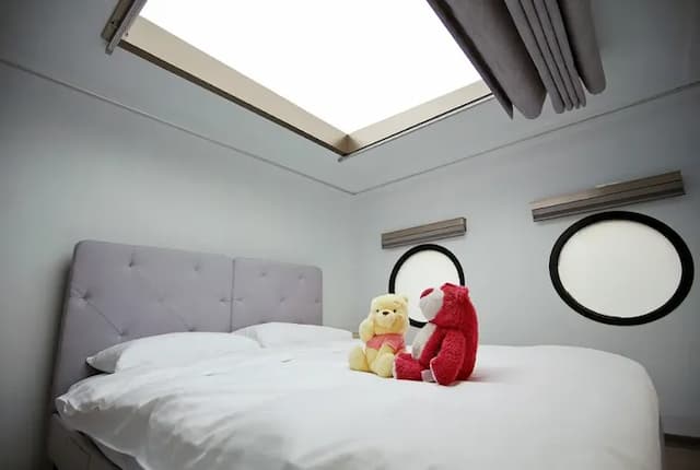 Forest Dense-【Camping car】Deluxe Japanese-style room ｜Pet-friendly-7