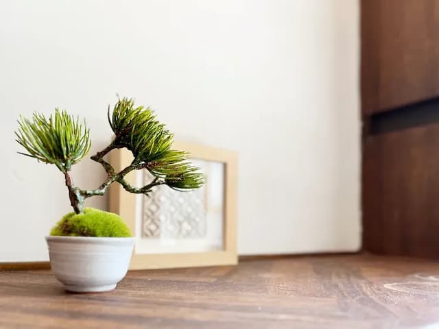 彌生町1丁目｜4人包棟/西新宿五丁目站步行11分/一線直達新宿站4分-包棟: 最多4人-8