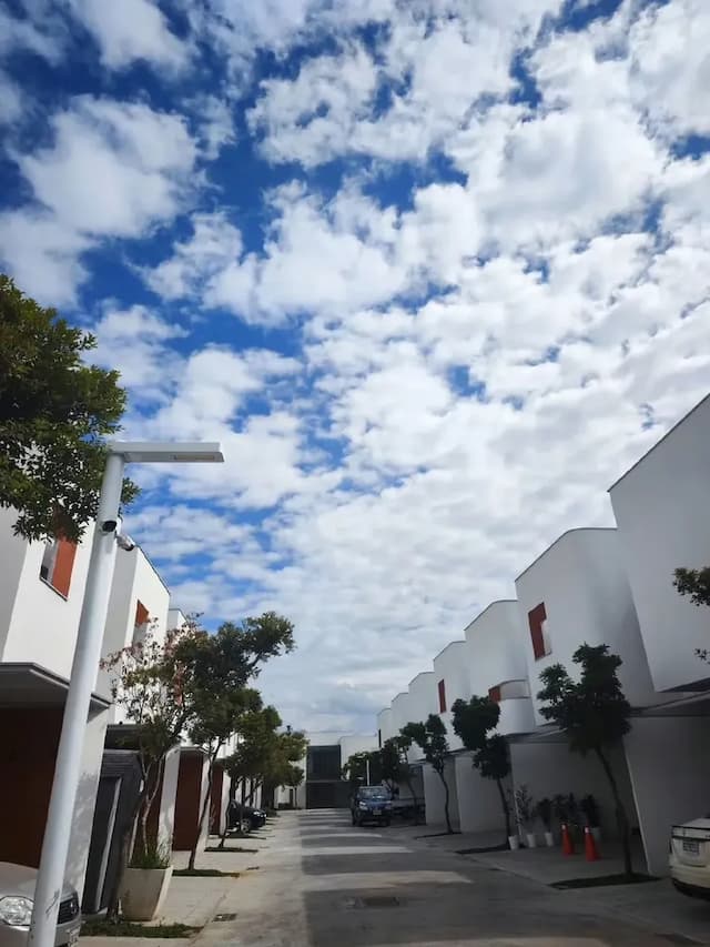 Suiyuan Homestay-Single-family villa Lohas room-2