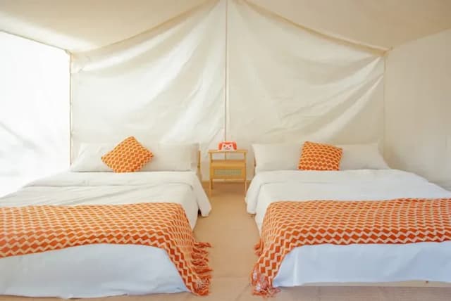 森光秘境露營區 | 獨家8折起！奢華懶人露營新選擇，帳篷附設冷暖氣-遊牧帳-5