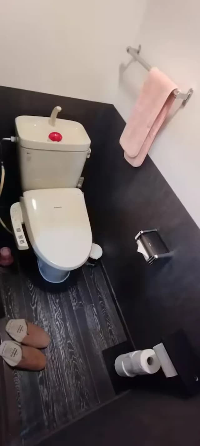 Toilet