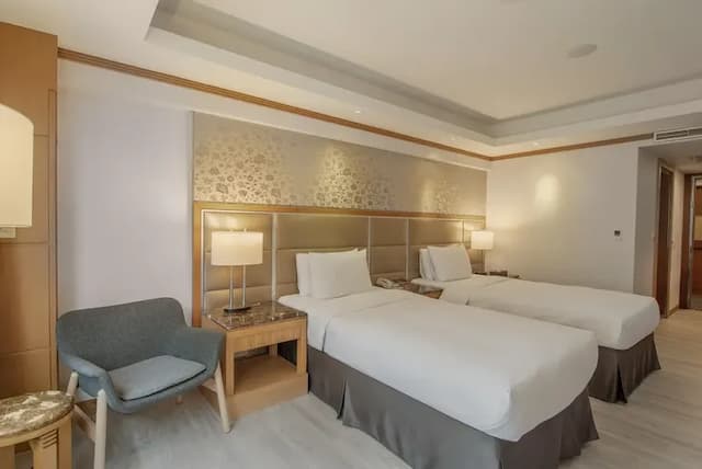 Hotel Dion-Business two small bed-10