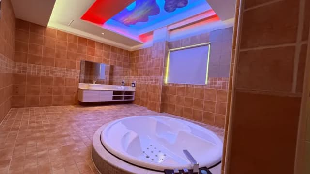 麗莎旅舘-金碧套房-10