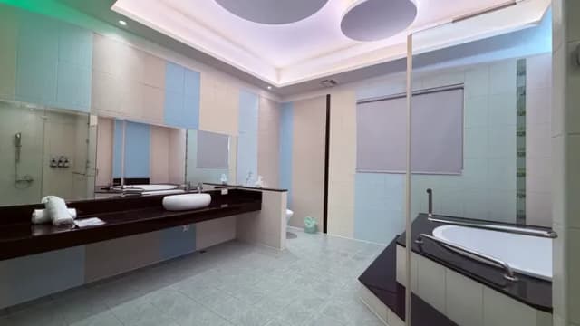 麗莎旅舘-金碧套房-13