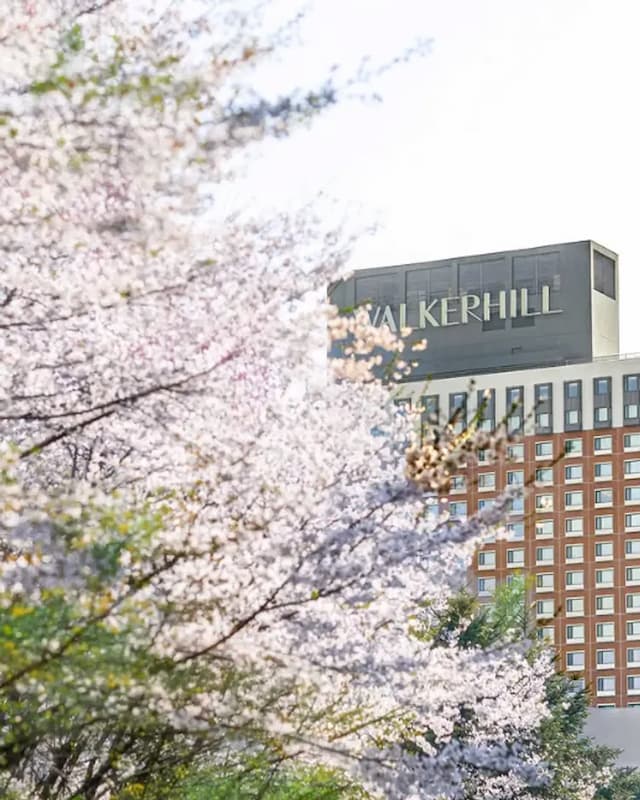 Grand Walkerhill-Standard room Mt. View-5