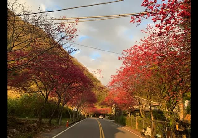 Weifeng Resort-standard two-person room-8