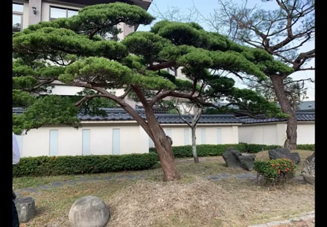 Weifeng Resort-Deluxe Double Room-6