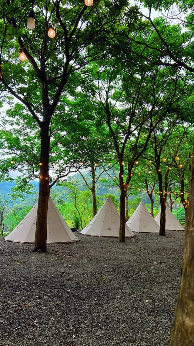 棉野戶外免搭收服務露營行程規劃-懶人露營｜團體、公司活動客製化（請先LINE私詢再下單）-3