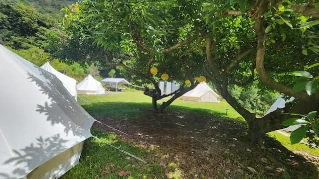 櫻家小築 | 全新開幕！一泊一食+獨立衛浴-鐘型帳4帳包區-2