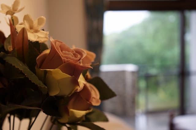 古月湖民宿 | 可15人包棟 | 觀星大露台 | BBQ烤肉&自行車使用-HML202-4