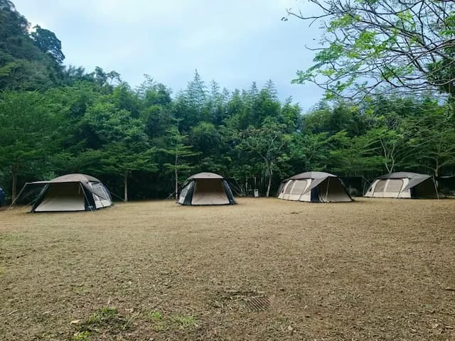 新月塢溫泉 Mikatsuki Tani｜獨家9折起！尖石溫泉、可愛動物區-免搭帳篷(寢具需加購或自備)-2