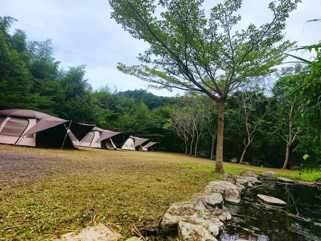 新月塢溫泉 Mikatsuki Tani｜獨家9折起！尖石溫泉、可愛動物區-免搭帳篷(寢具需加購或自備)-9