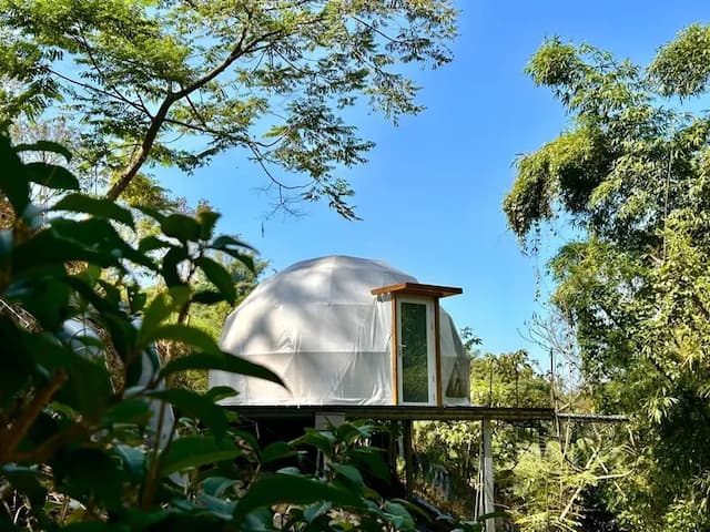 森山谷｜獨家85折起！低密度懶人露營、一泊三食-【懶人露營】星空帳篷｜四人房｜森林景-2