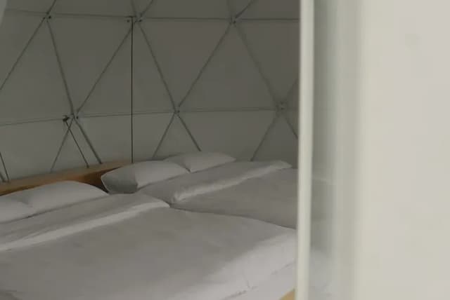 森山谷｜獨家85折起！低密度懶人露營、一泊三食-【懶人露營】星空帳篷｜四人房｜森林景-5