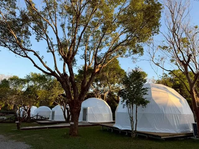 橘舍三食 Orange Farmerlife | 全新上架！豪華一泊三食+體驗-【豪華露營】二人樹林區球型帳-1