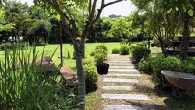 倚月觀荷民宿（可包棟）｜烤肉區、停車場-賞荷小屋-1-4