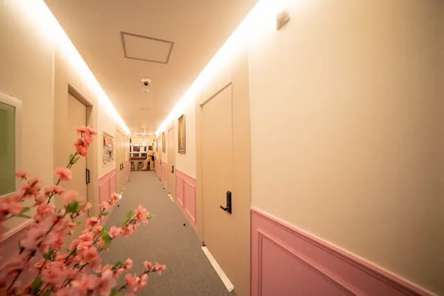 Calistar Hotel-Shared Dormitory, Women only (2 Beds)-8