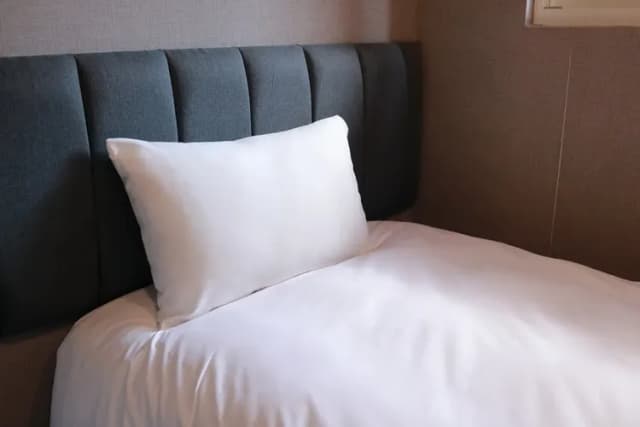 皇家玫瑰旅館 l 站前館-商務單人房-3