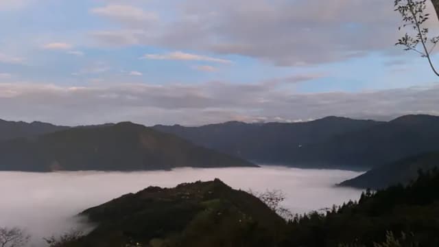 貝德拉蔓露營區 | 一泊三食豪華露營、寵物友善-【懶人露營】B 木屋｜2~5人-7