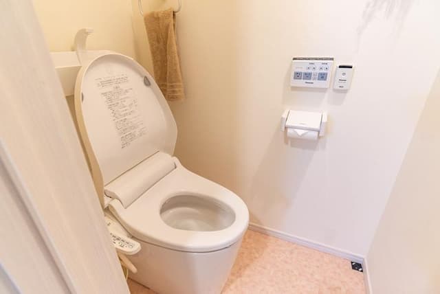 Wash toilet seat with water heater