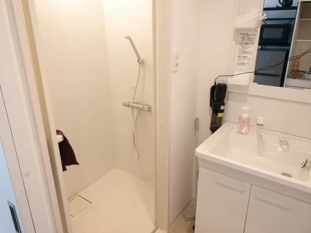 RISE HOTEL SHINJUKU-402－布魯克林客房｜3人入住｜雙人床＋沙發床｜21㎡-10