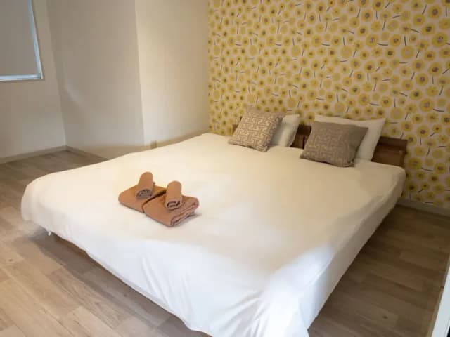 RISE HOTEL SHINJUKU-702－黄花客房｜4人入住｜大床（Queen Beds）｜｜40㎡-4