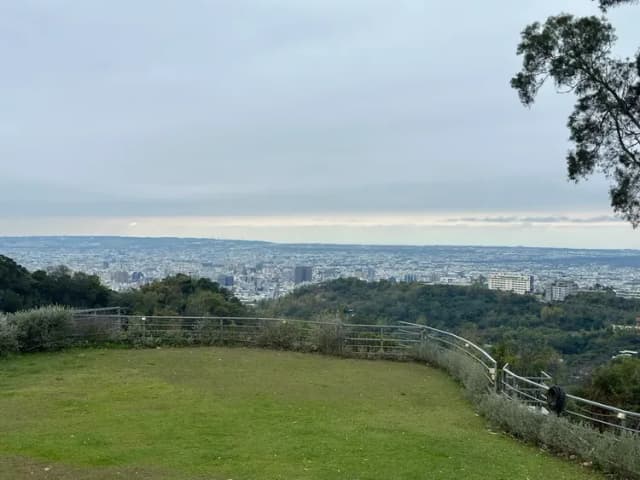 流星花園幸福樂活露營區｜全新上架！百萬夜景、三層樓高溜滑梯、親子友善步道-【自搭帳】草地皮帳位 5M*10M(附2客火鍋)-3