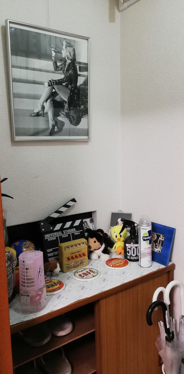 ALMAZ PLACE-＃203wifi OK/Cherry blossom viewing in front of the park OK/Quiet room/Parking available/Good airport access-12