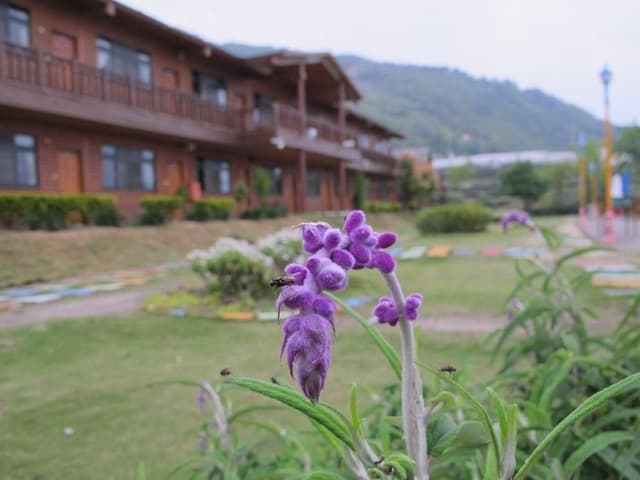 Cloud Falls Leisure Landscape Resort-Quad Room A-7