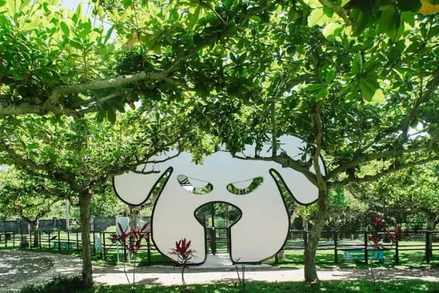 Promisedland Resort & Lagoon-『Flash Sale』Luxury Deluxe Twin(Pet Friendly)-9