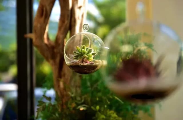 簡單生活景觀｜看見幸福民宿-標準雙床房 - 附露台-5