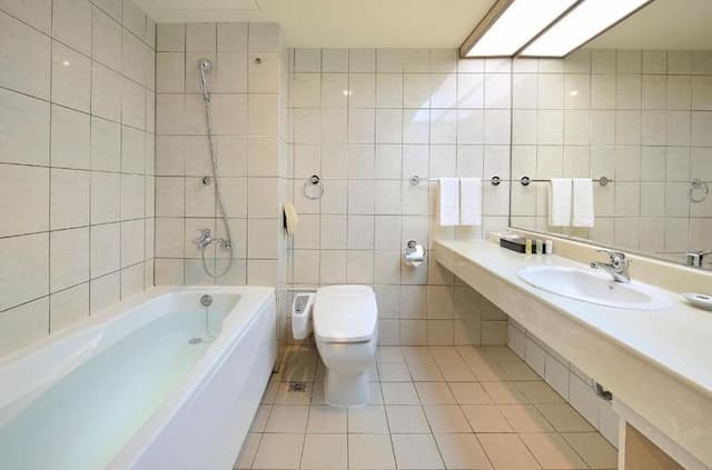 中壢米堤大飯店-豪華單人房-3