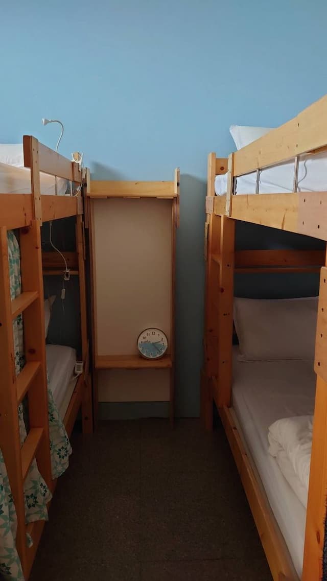 Fish trip-A bed in a 6-person room for girls-2