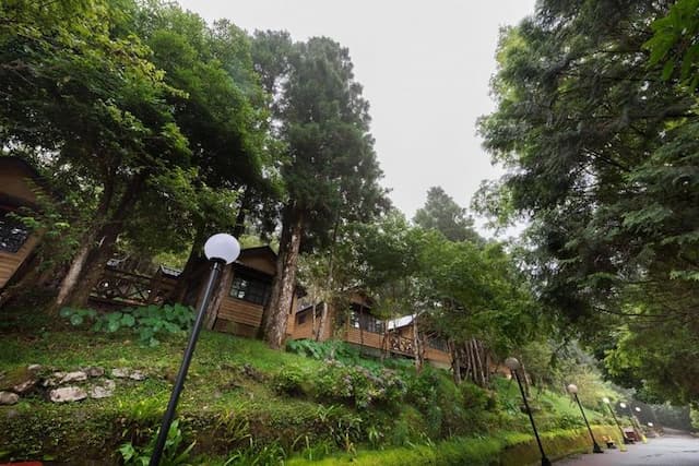 力麗馬告生態園區｜明池山莊-林間四人房-6